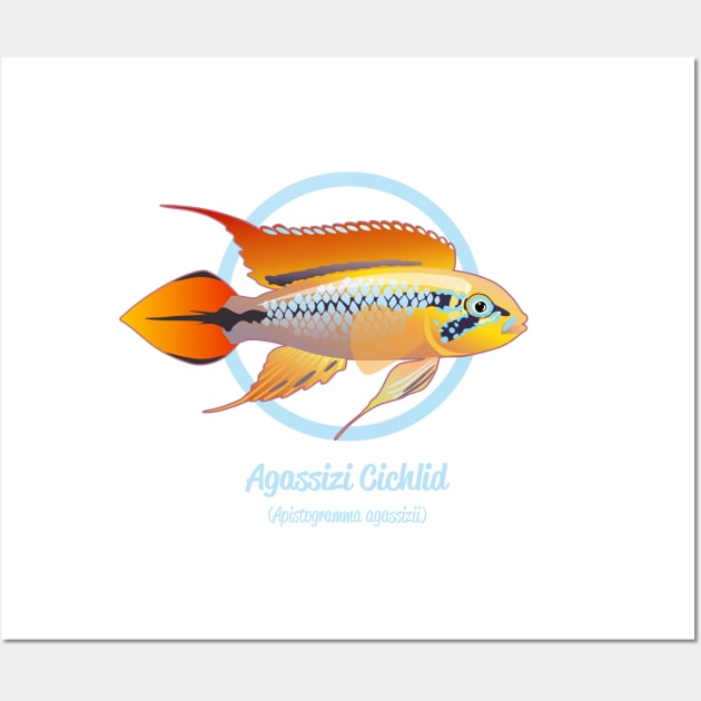 Agassizi Cichlid Wall Art by Reefhorse